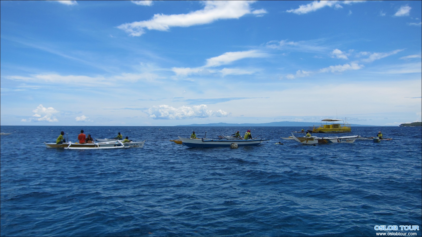 Read more about the article Oslob Whale Shark Watching Beach