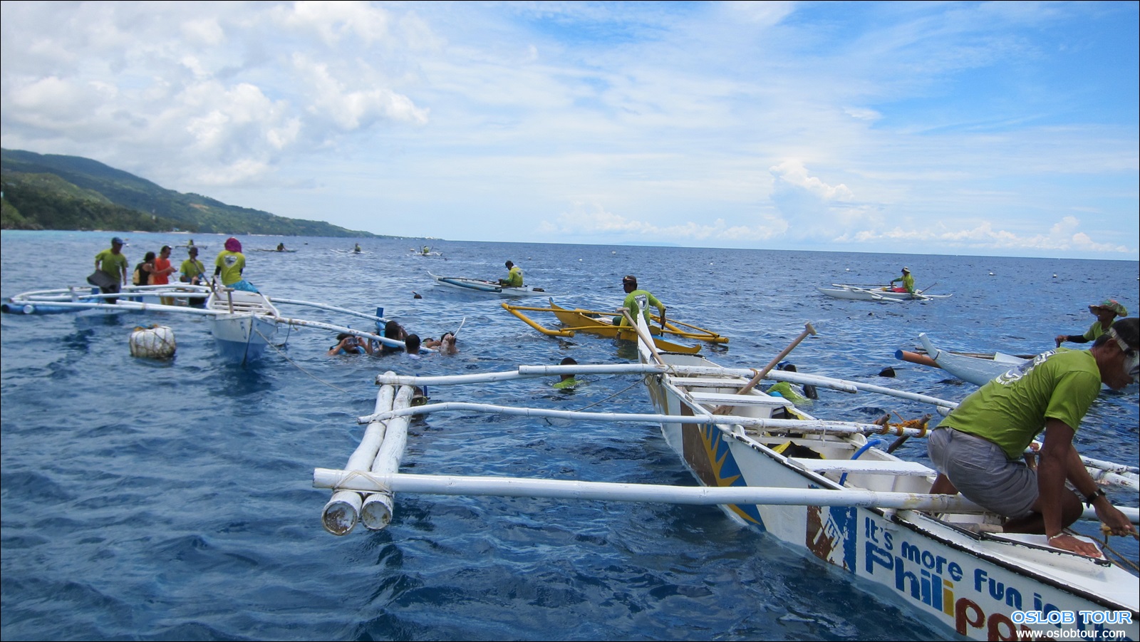 Read more about the article Oslob Whale Shark Watching