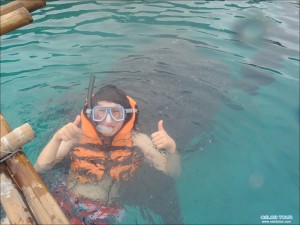 Read more about the article Cebu Oslob Whale shark tour – 15 Apr 2014