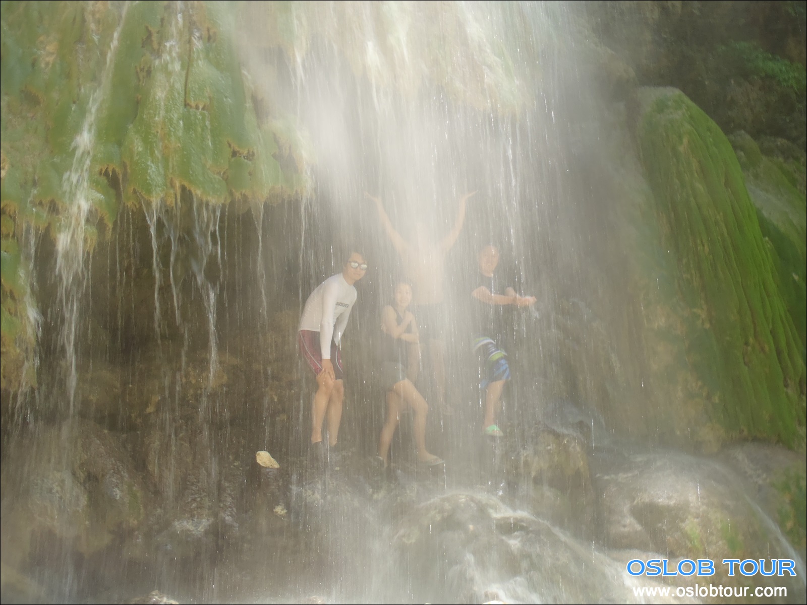 You are currently viewing Cebu Oslob Whale shark tour – 14 May 2014