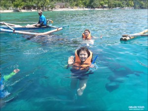 Read more about the article Cebu Oslob Whale shark tour – 29 Apr 2014