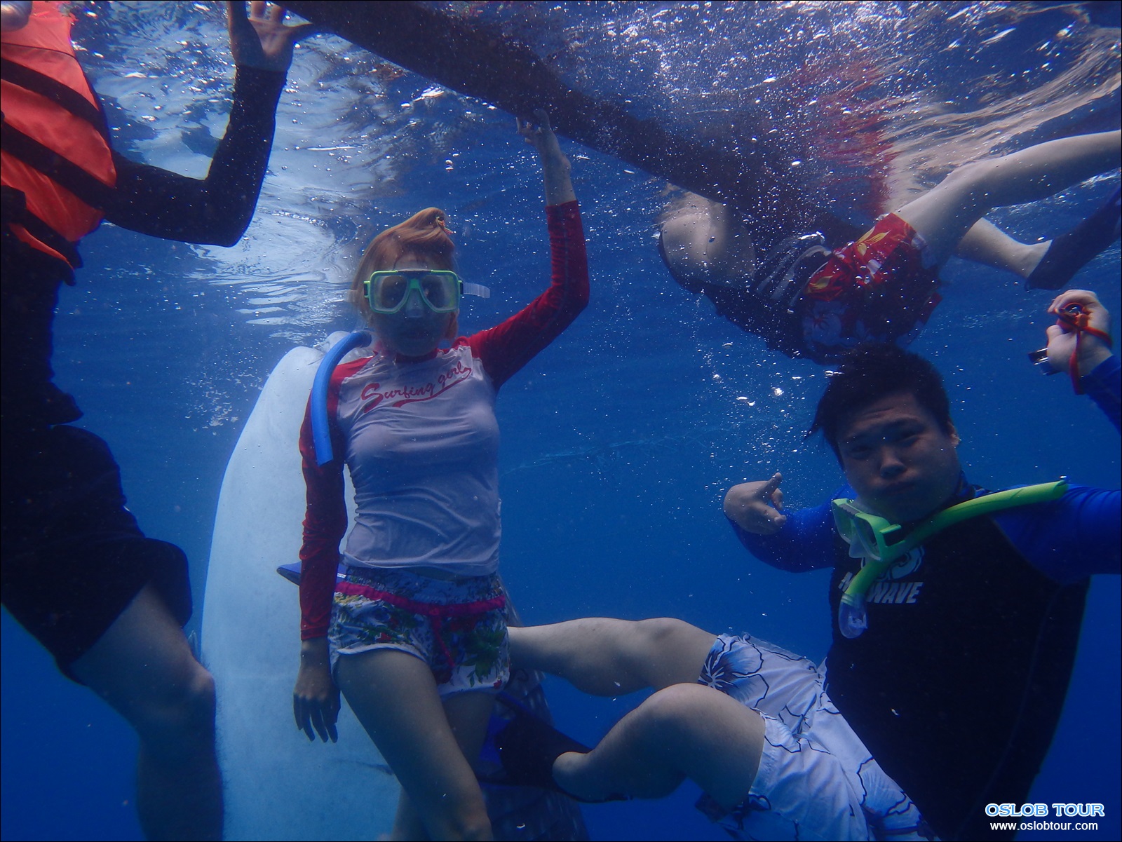 Read more about the article Cebu Oslob Whale shark watching Day tour – 26 Aug 2014