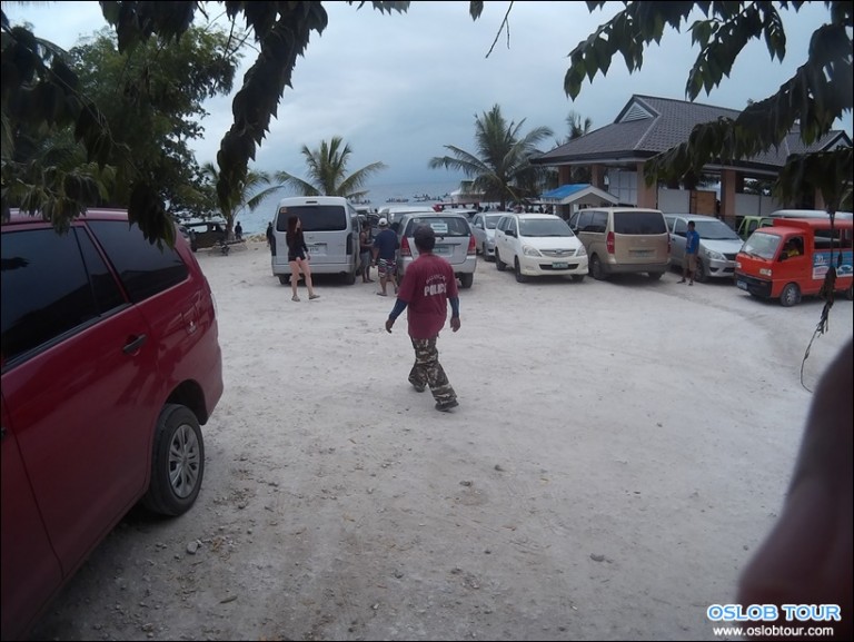 Cebu Oslob Whale shark watching Day tour – 11 Feb 2016