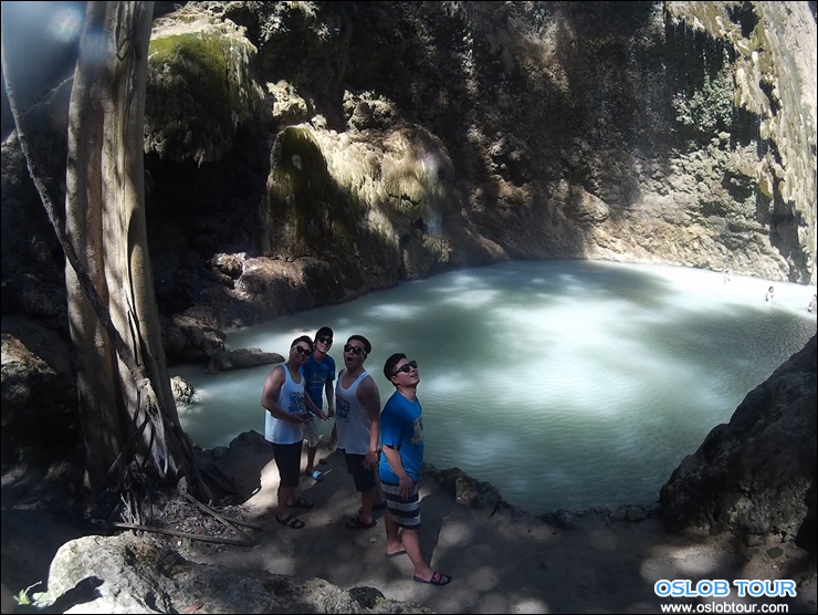 Read more about the article Cebu Oslob Whale shark watching Day tour – 15 Jan 2016
