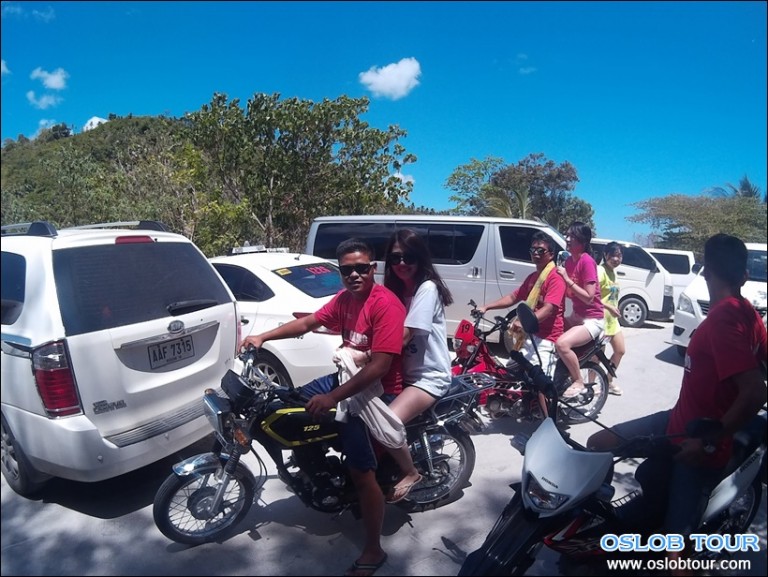 Cebu Oslob Whale shark watching Day tour – 21 Feb 2016