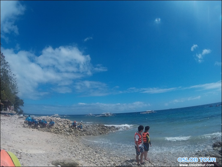 Read more about the article Cebu Oslob Whale shark watching Day tour – 3 Jan 2016
