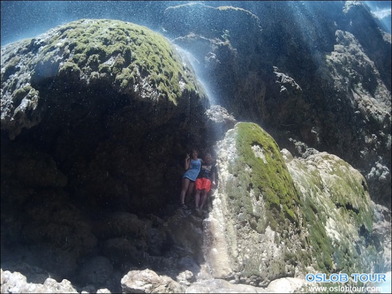 Cebu Oslob Whale shark watching Day tour – 10 Mar 2016