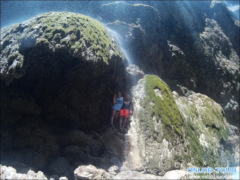 Read more about the article Cebu Oslob Whale shark watching Day tour – 10 Mar 2016