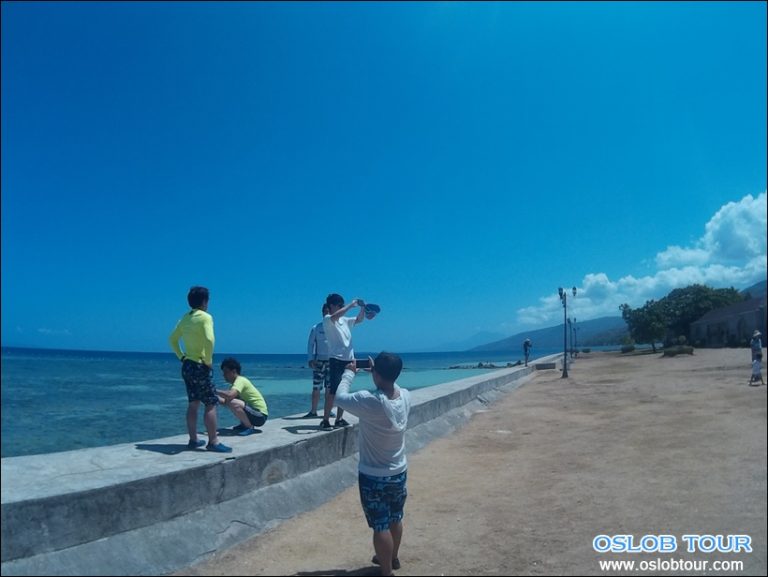 Cebu Oslob Whale shark watching Day tour – 18 Apr 2016