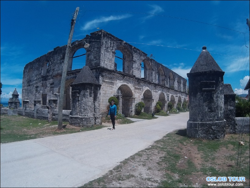 Read more about the article Cebu Oslob Whale shark watching Day tour – 13 June 2016