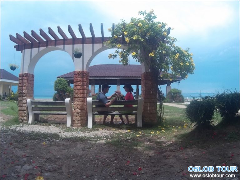 Cebu Oslob Whale shark watching Day tour – 21 June 2016