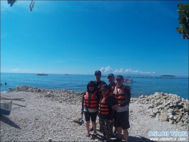 Cebu Oslob Whale shark watching Day tour – 3 June 2016